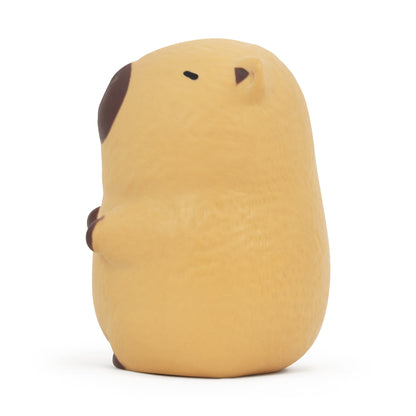 The Big Squij Capybara