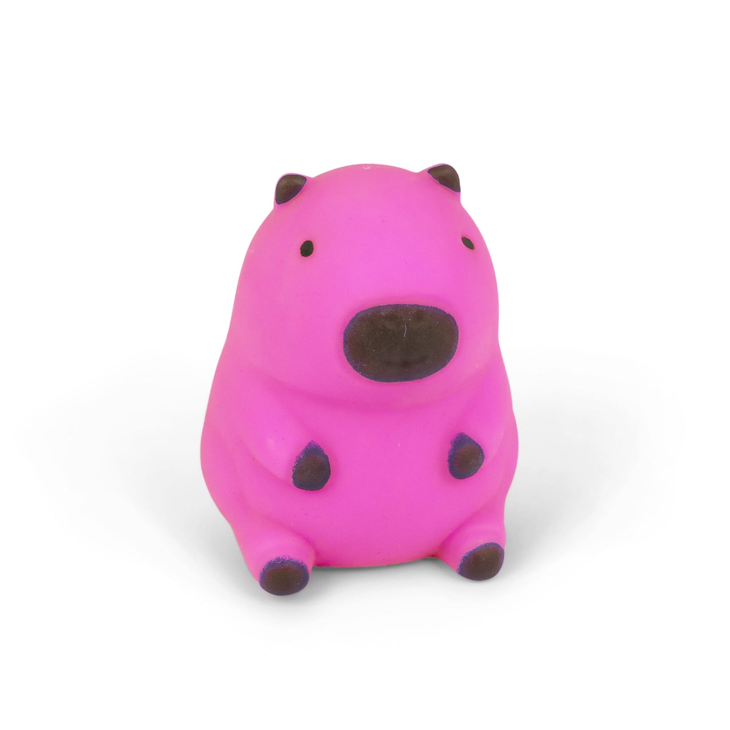 Squishy Foam Filled Capybara Sensory Toy